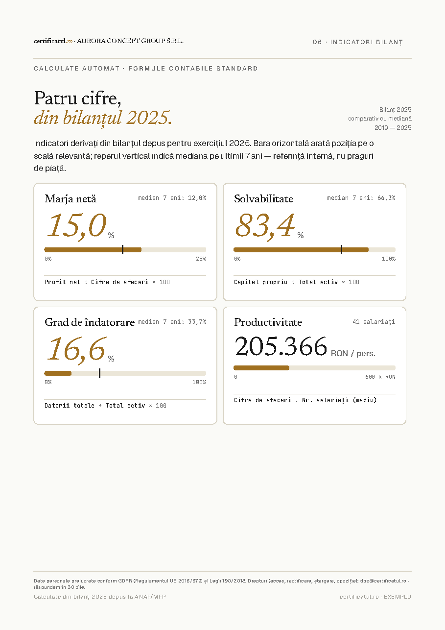 Pagina 6 — indicatori bilanț